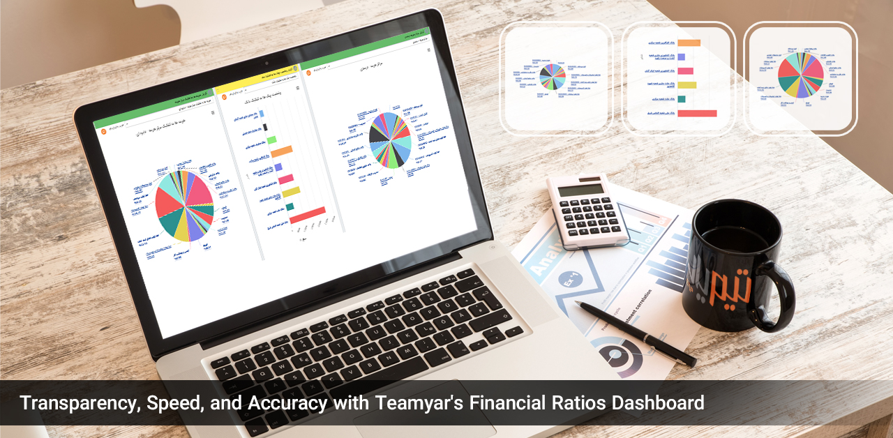  Teamyar's Financial Ratios Dashboard